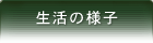 生活の様子